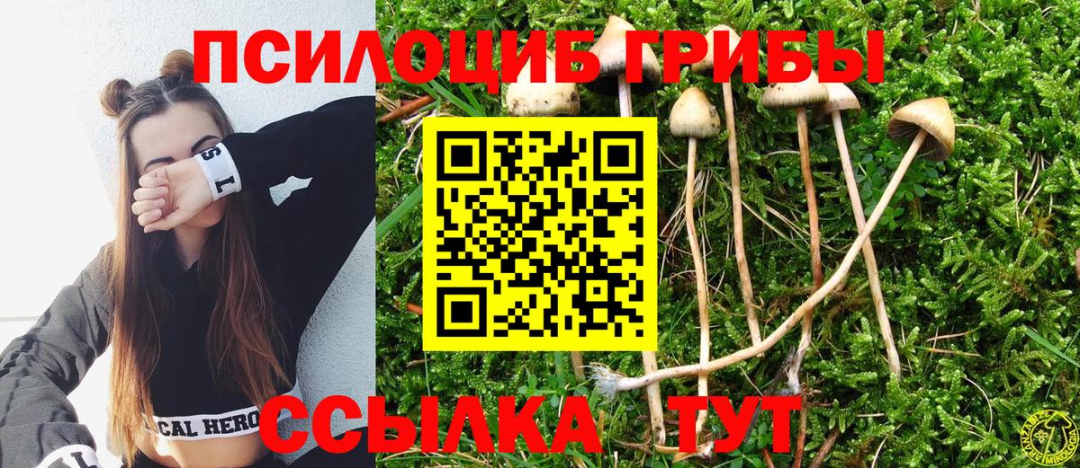 Псилоцибиновые грибы Psilocybe  Вход с VPN  Лыткарино  Псилоцибиновые грибы GOLDEN TEACHER 
